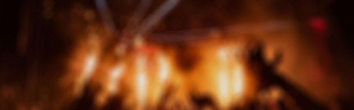 2025年9月新课免费更新啦！探索一下吧